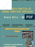 Experiencia Practica de Buenas Practicas Agricolas: Alexis Ortiz - ADE S.A