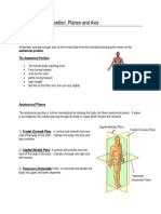 the_anatomical_position.pdf
