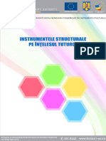 Instrumente Structurale Pe Intelesul Tuturor PDF