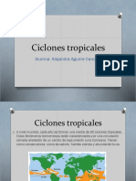 Ciclones Tropicales