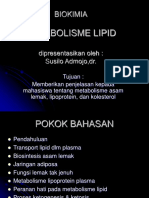 Metabolisme Lipid