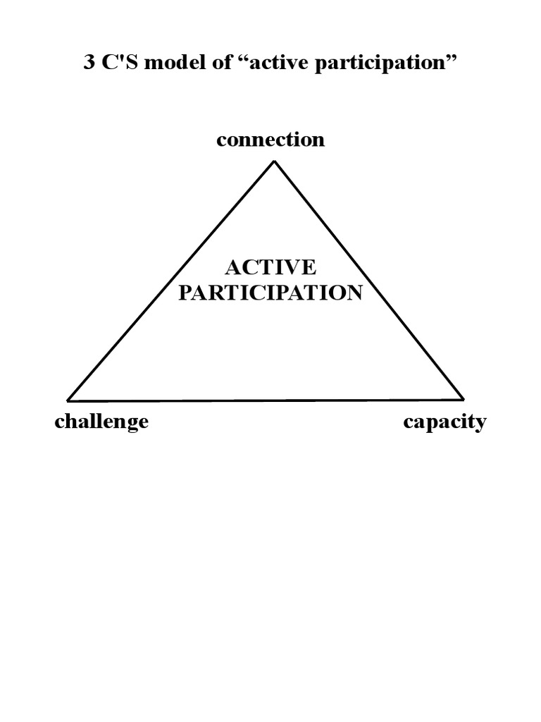 3 C'S Model of 