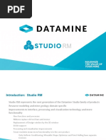 Studio RM PDF