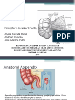 Apendisitis Materi DR - Mizar