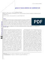 lycopenepaperbjn2011_1.pdf