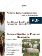 Aula 01 Sistema Digestivo de Pequenos Ruminantes