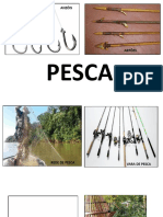 Pesca