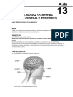Elementos de Anatomia Humana Aula 13 PDF