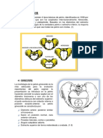 Tipos de Pelvis