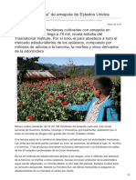 .MX México La Huerta de Amapola de Estados Unidos PDF