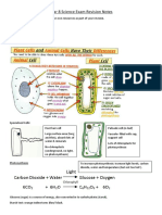 Year 8 Science Exam Revision Notes