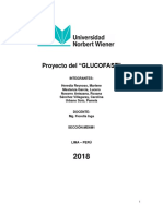 Proyecto Glucofast Final