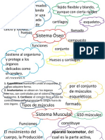 Mapas Mentales Ciencias Naturales