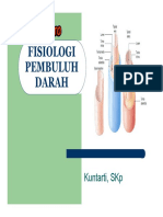 fisiologipembuluhdarah.pdf