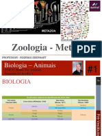 Zoologia Animais.pdf
