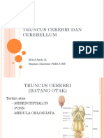 Diencephalon,Truncus Cerebri Dan Cerebellum,Dr Risal Snc2