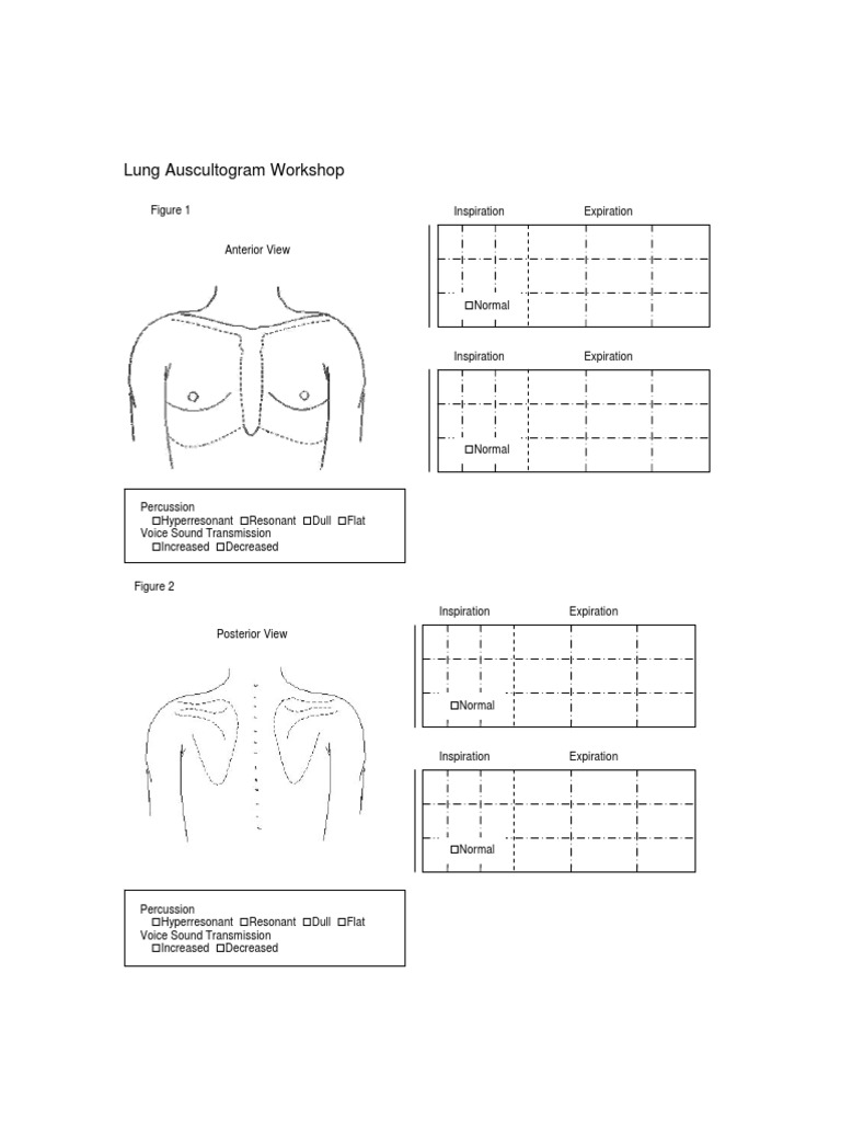Lung Auscultogram PDF | PDF