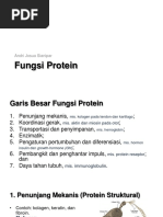 Fungsi Protein - Andri Josua Sianipar