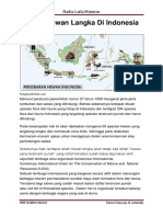 Daftar Hewan Langka Di Indonesia