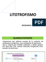 11. litotrofismo.2