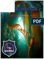 Guía de la Vida Marina de la Costa Central de Perú
