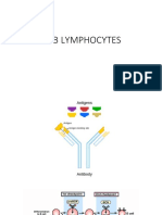 B Lymphocytes: Functions and Development
