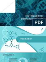 Bioethanol From Algae