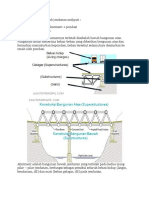 Grafik Analisa Tekanan Hidrostatik