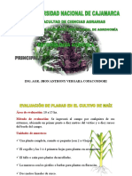 PLAGASDEMAÍZ.pdf