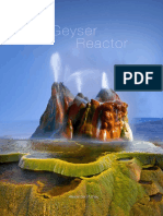 Geyser_Reactor (1).pdf