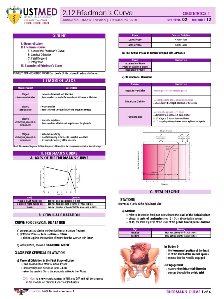 12 Friedmans Curve v2 | PDF | Childbirth | Women's Health