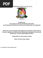 Ultimo Perfil de Tesisi Jose Geardo Avalos PDF