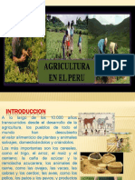 LA-AGRICULTURA-EN-EL-PERU.pptx