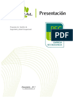 PEC Empresa Excelencia - Doc 01 Presentacion E0707