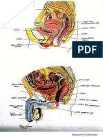 CamScanner Scans PDF Docs