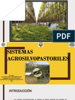 Sistemas Agrosilvopastoriles