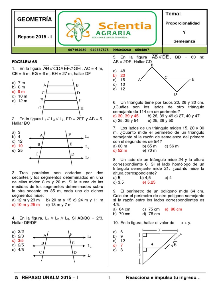 Sem5 Proporcionalidad Y Semejanza Pdf Triangulo Geometria Elemental