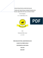 Laporan Praktikum Agronomi Dasar Budiday PDF
