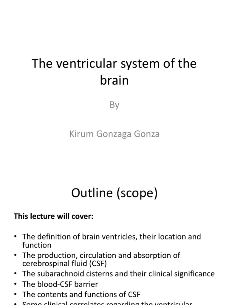 The Ventricular System of The Brain | Download Free PDF | Cerebrospinal ...