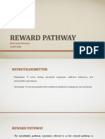 Reward Pathway: Sheila Azelya Fernanda 1610211068