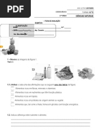 Ficha de Avalia- Sistema Digestivo
