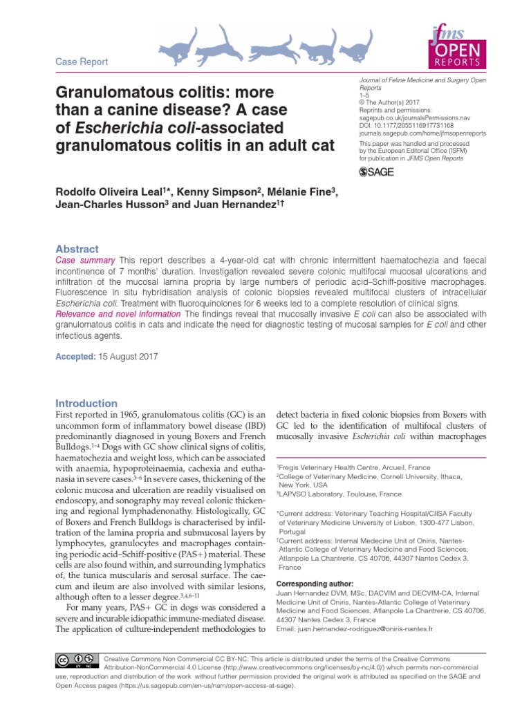 Granulomatous Colitis More Than A Canine Disease? A Case of