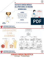 Nutrición en Anemias