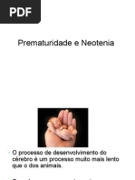 PREMATURIDADE E NEOTENIA