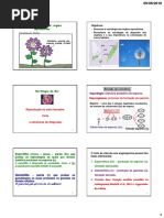 Morfologia Anatomia Flor A