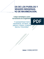 Derechos de Los Pueblos Y Comunidades Indigenas. Principio de Maximización