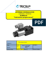 Rubrica Hidraulica Proporcional PDF