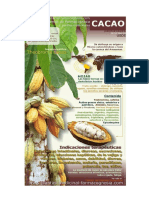 Imfografia Sobre El Cacao