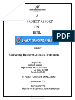 Santosh Final Project Report Office Word Document 2