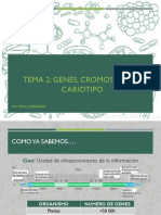 Tema 2. Genes, Cromomas y Cariotipo